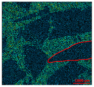 Materials 13 01024 i009 Materials 13 01024 i009