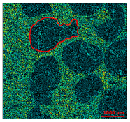 Materials 13 01024 i012 Materials 13 01024 i012