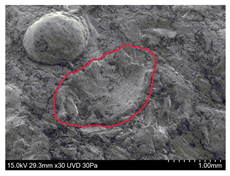 Materials 13 01024 i013 Materials 13 01024 i013