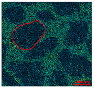 Materials 13 01024 i015 Materials 13 01024 i015