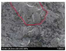 Materials 13 01024 i016 Materials 13 01024 i016