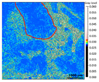 Materials 13 01024 i017 Materials 13 01024 i017