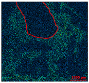 Materials 13 01024 i018 Materials 13 01024 i018