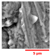 Materials 13 01024 i019 Materials 13 01024 i019