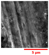 Materials 13 01024 i020 Materials 13 01024 i020