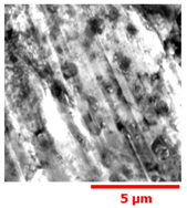 Materials 13 01024 i021 Materials 13 01024 i021