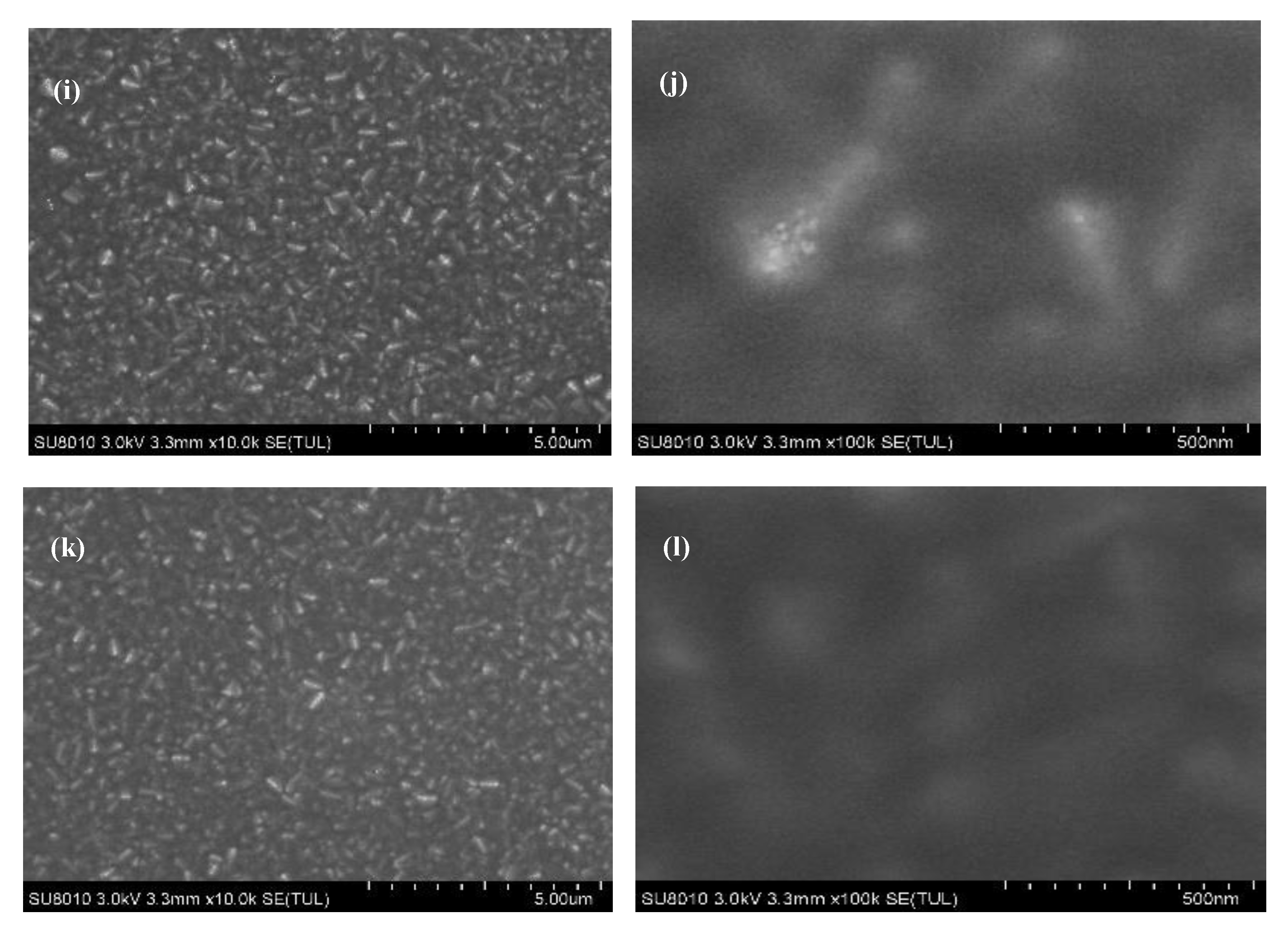 Materials 13 01031 g004b