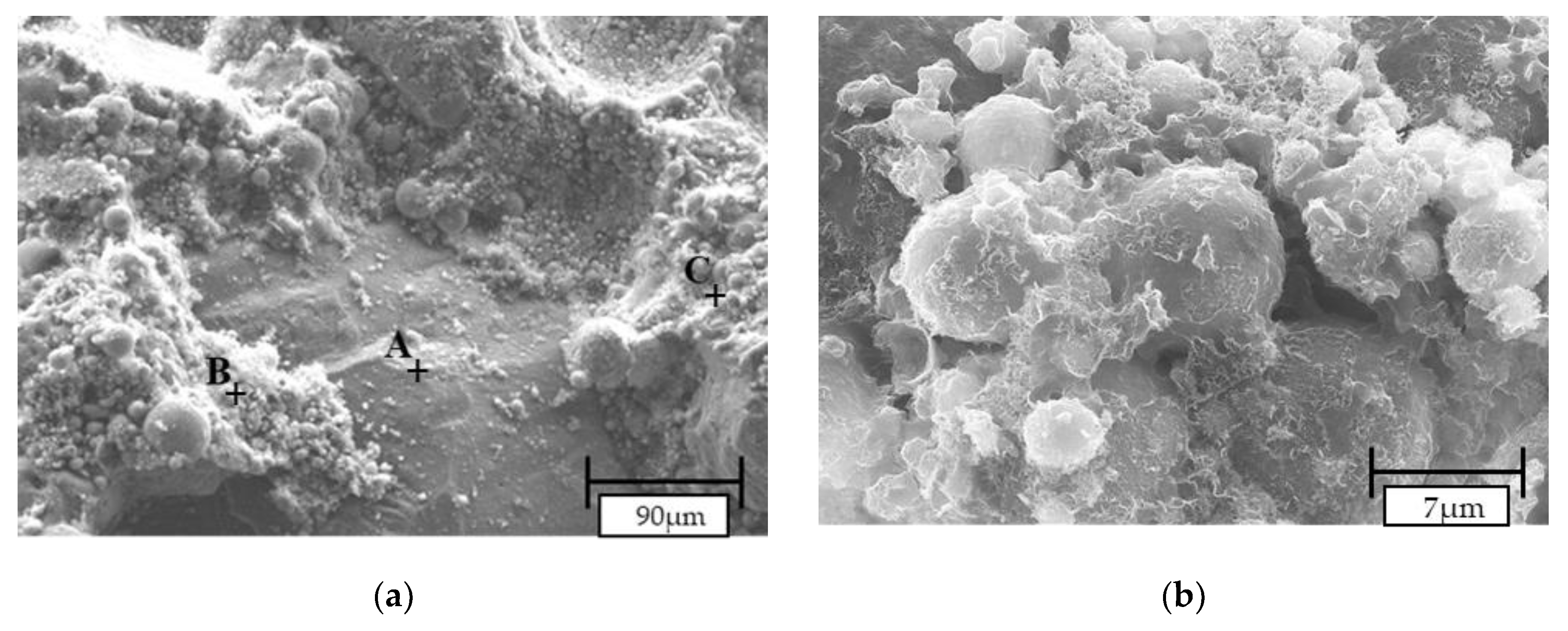 Materials 13 01033 g011a