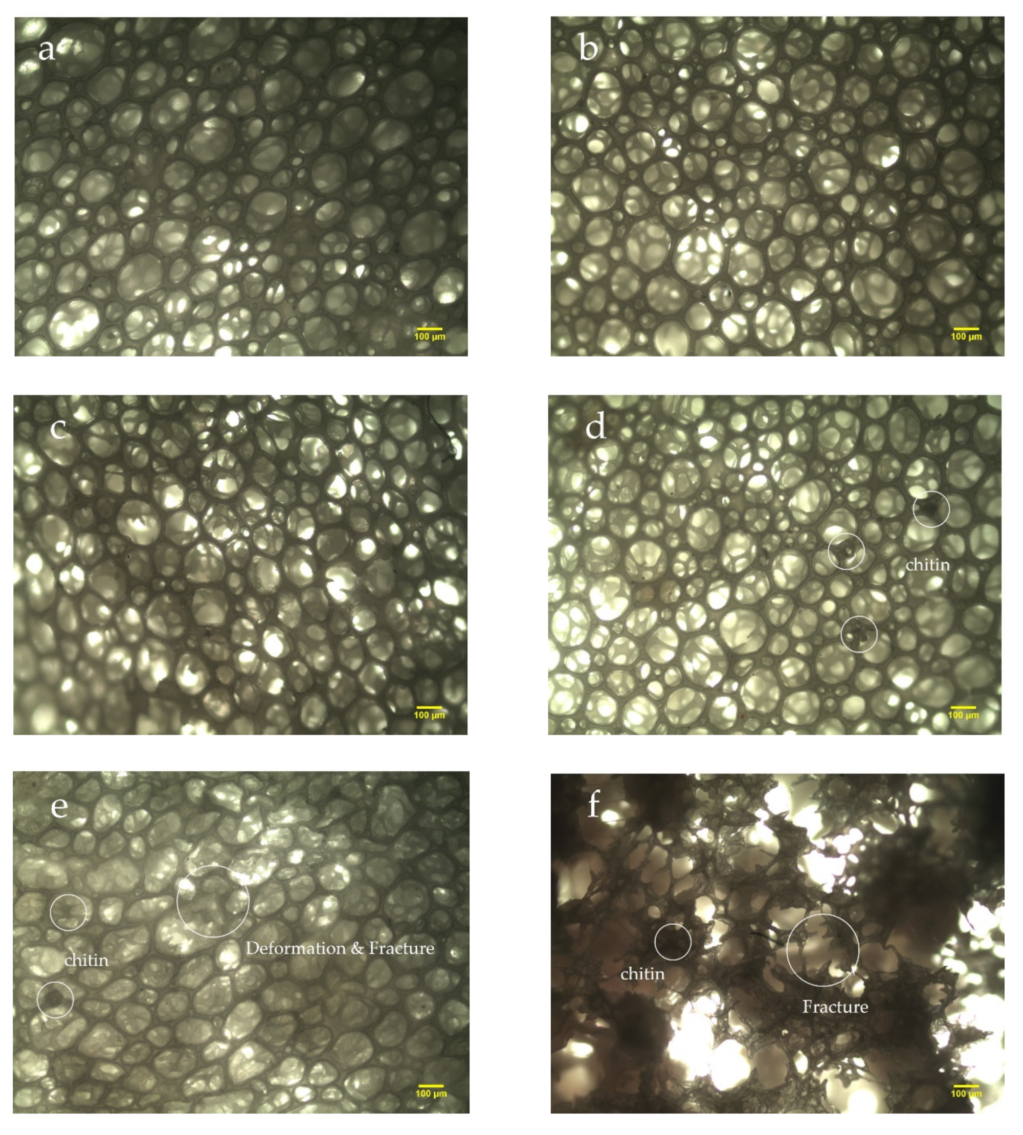 Materials 13 01039 g002