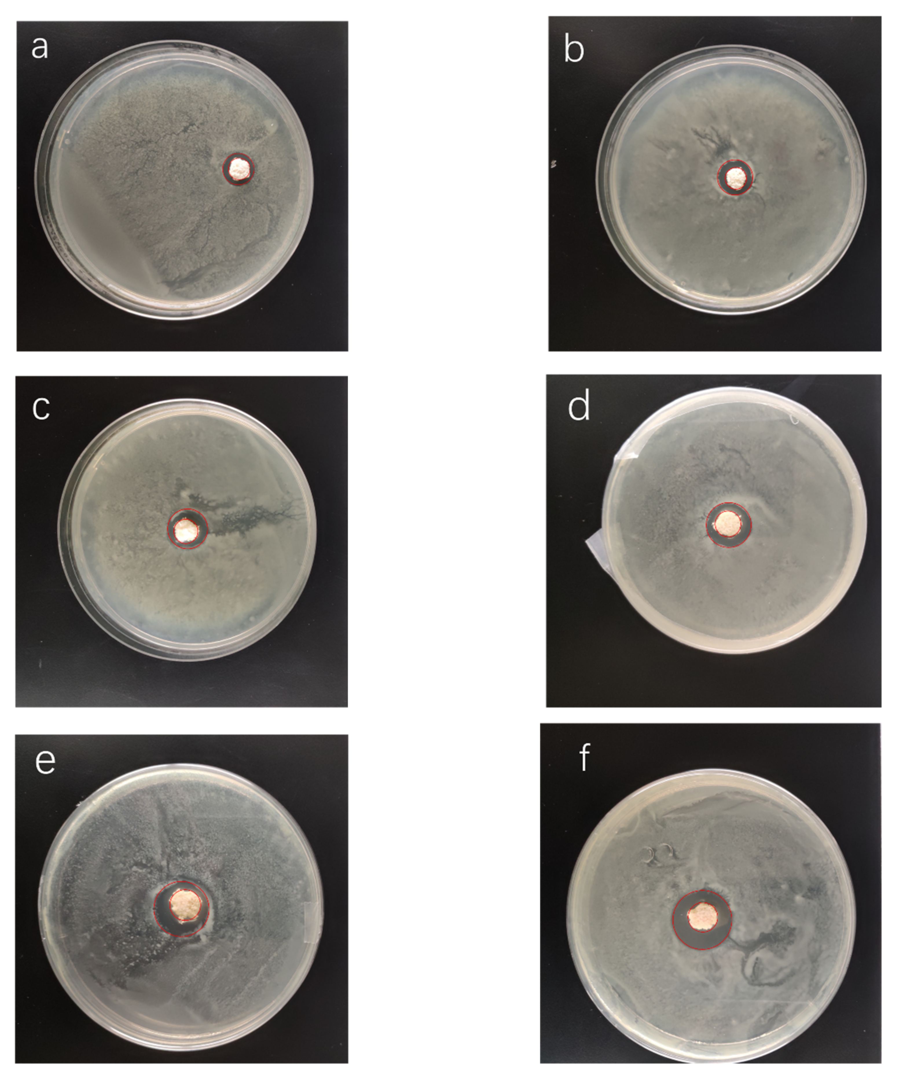 Materials 13 01039 g011