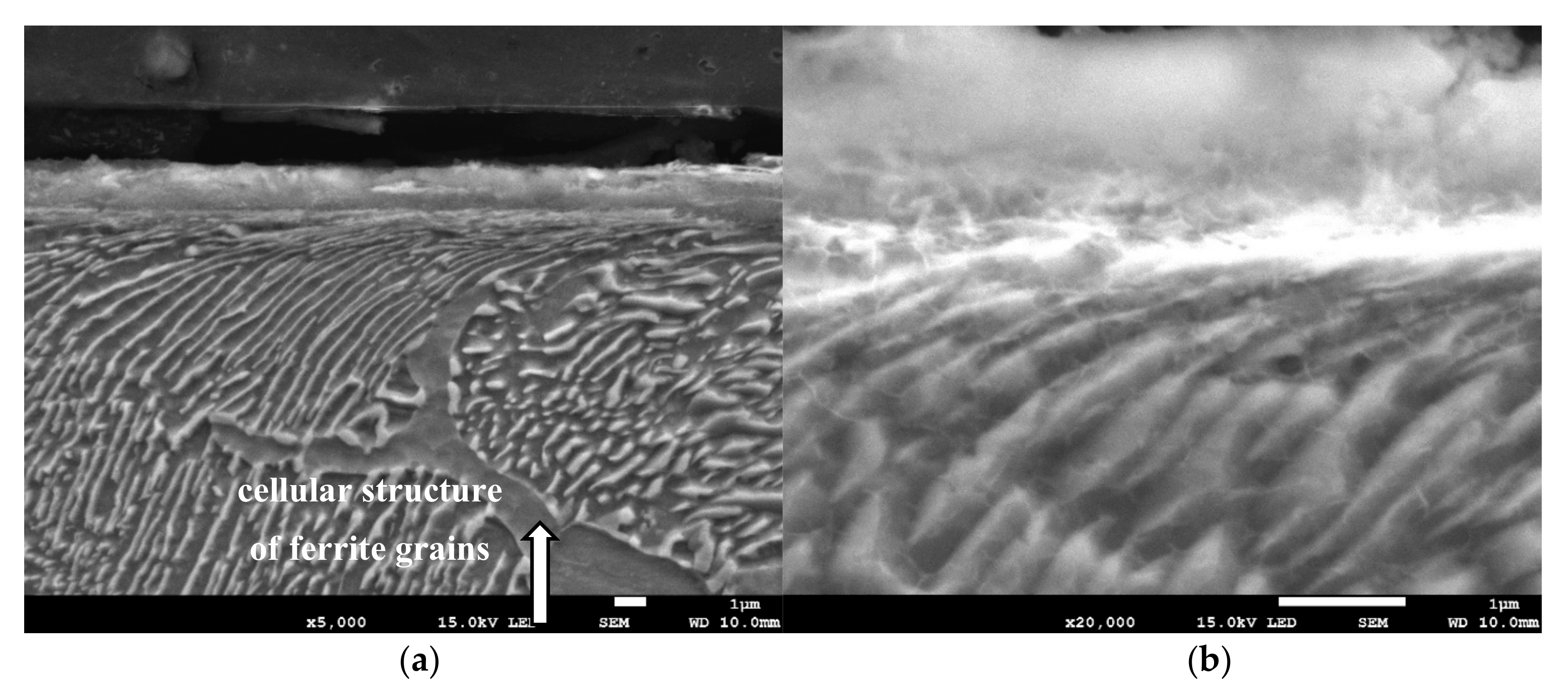 Materials 13 01040 g006