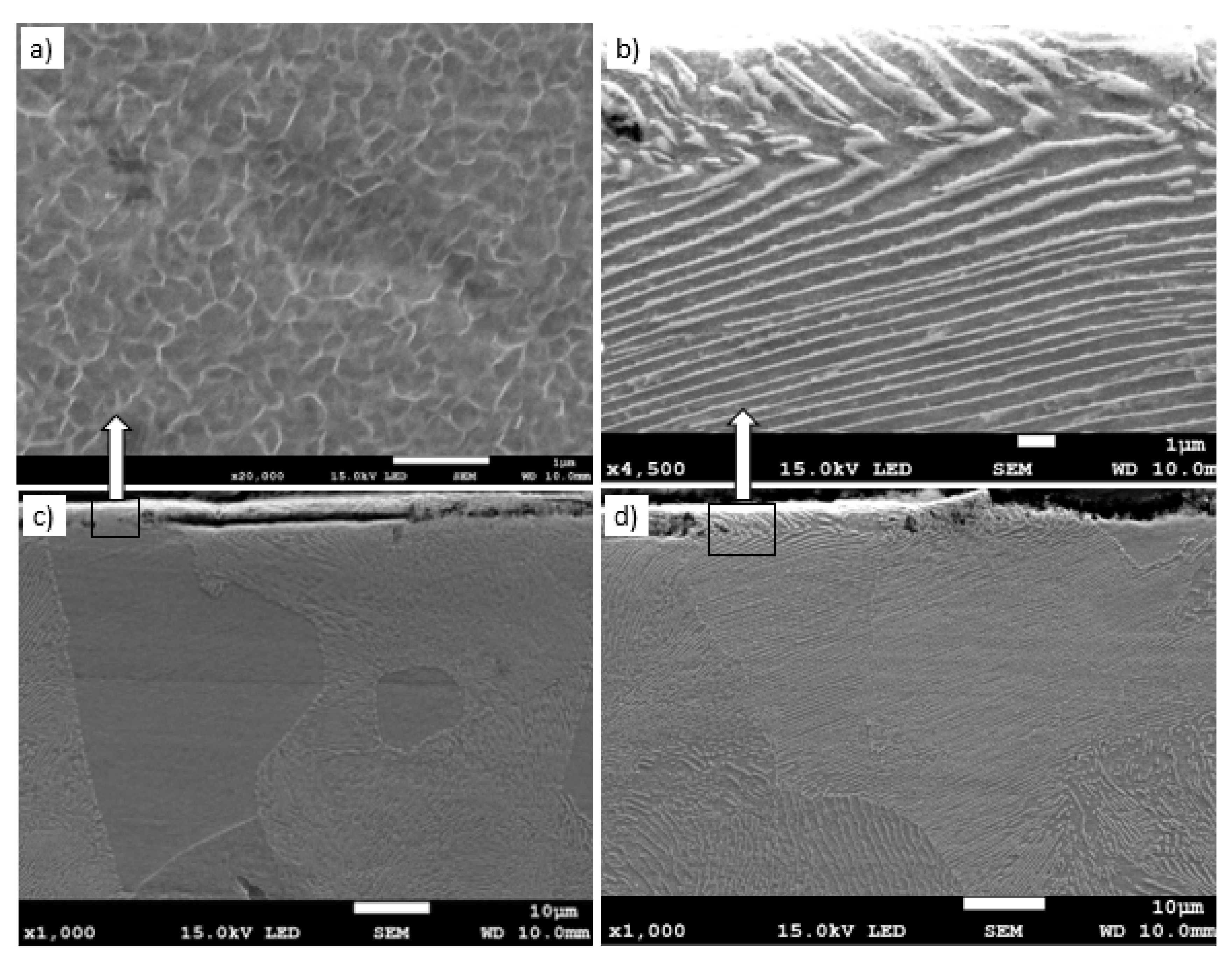 Materials 13 01040 g010