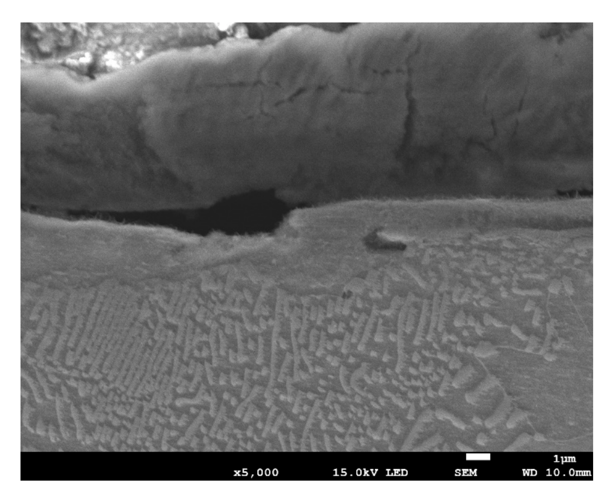 Materials 13 01040 g012