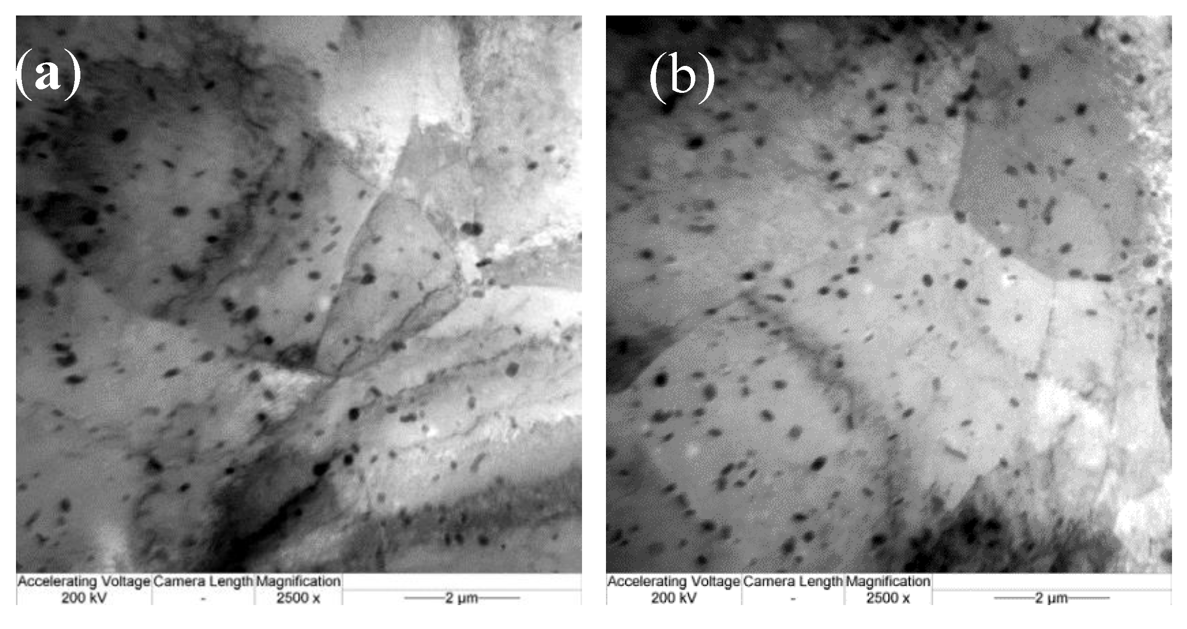 Materials 13 01042 g009a Materials 13 01042 g009a