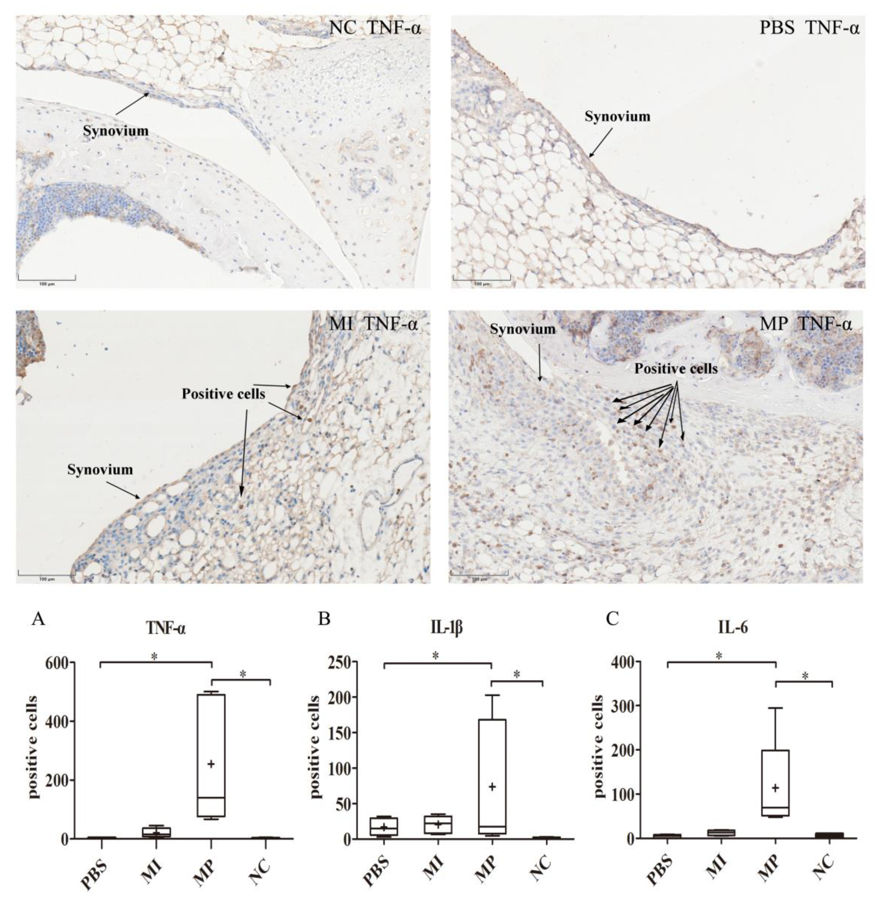 Materials 13 01044 g001