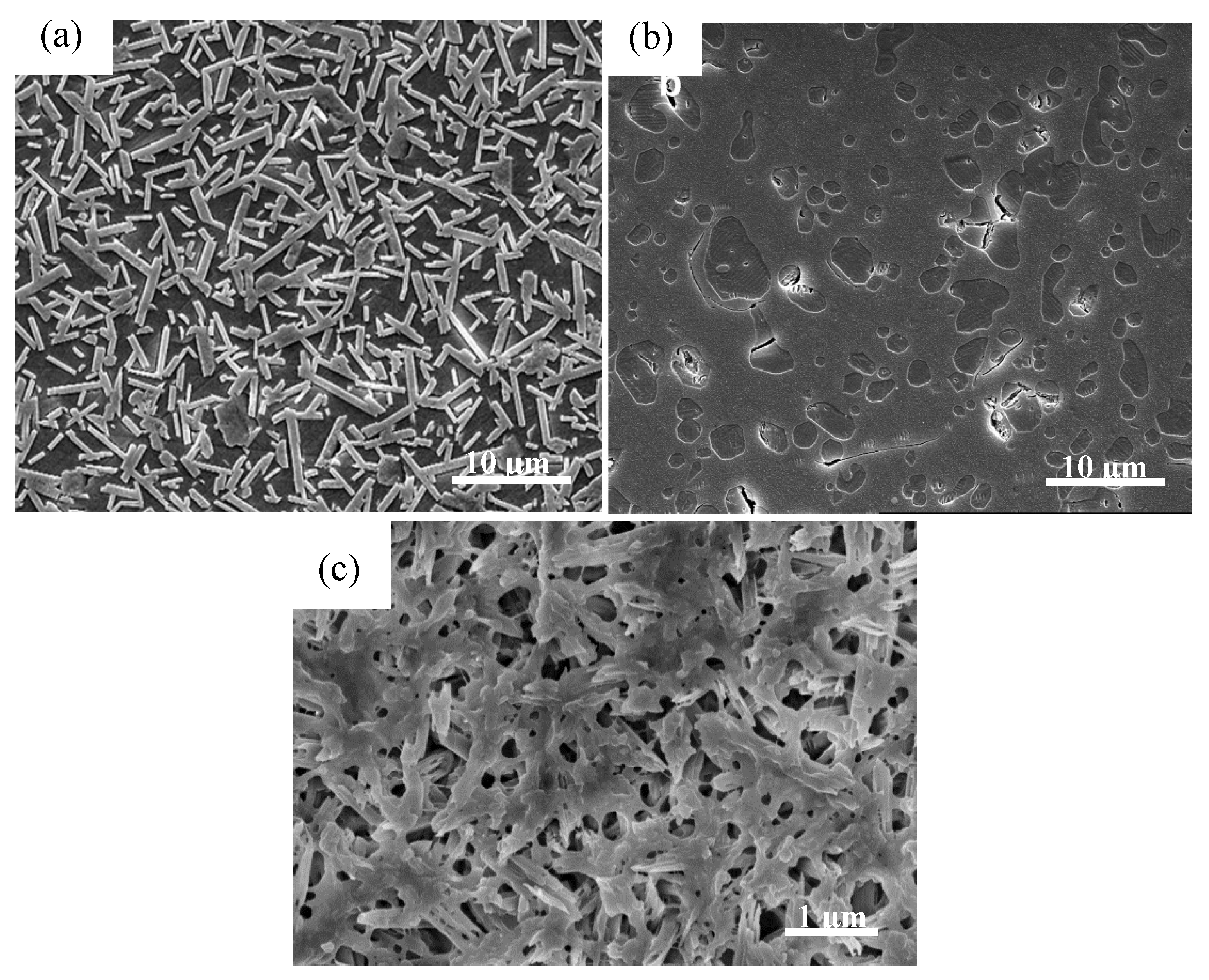 Materials 13 01049 g008