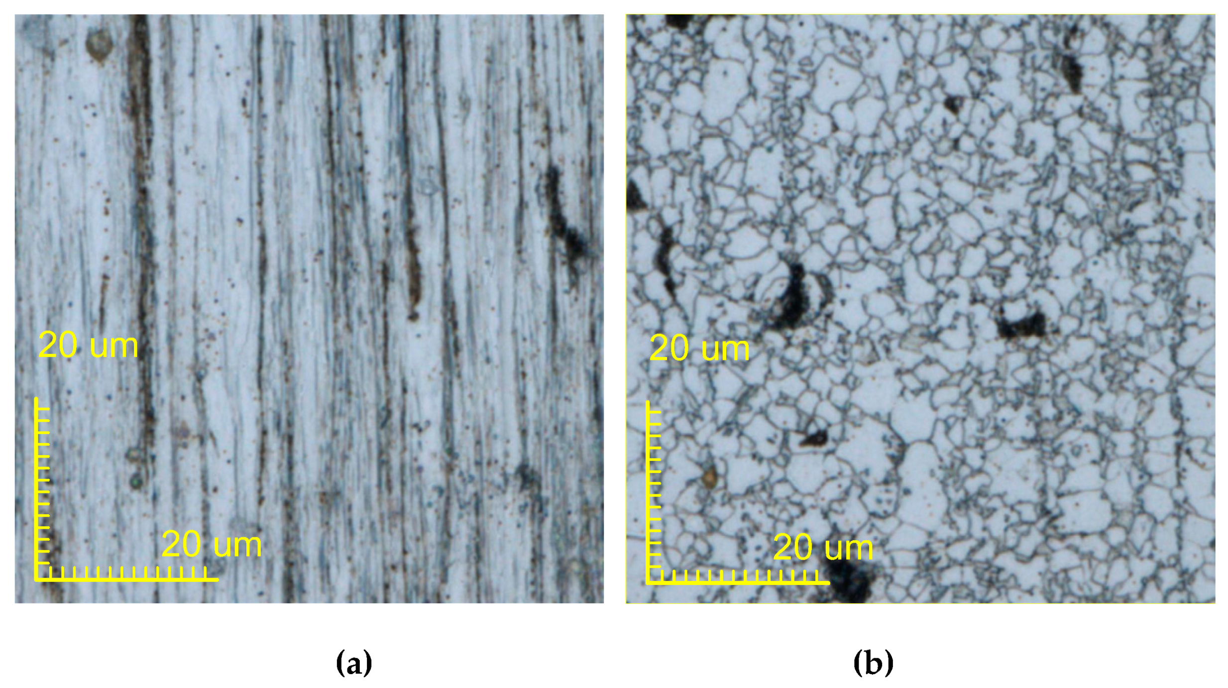 Materials 13 01069 g016a