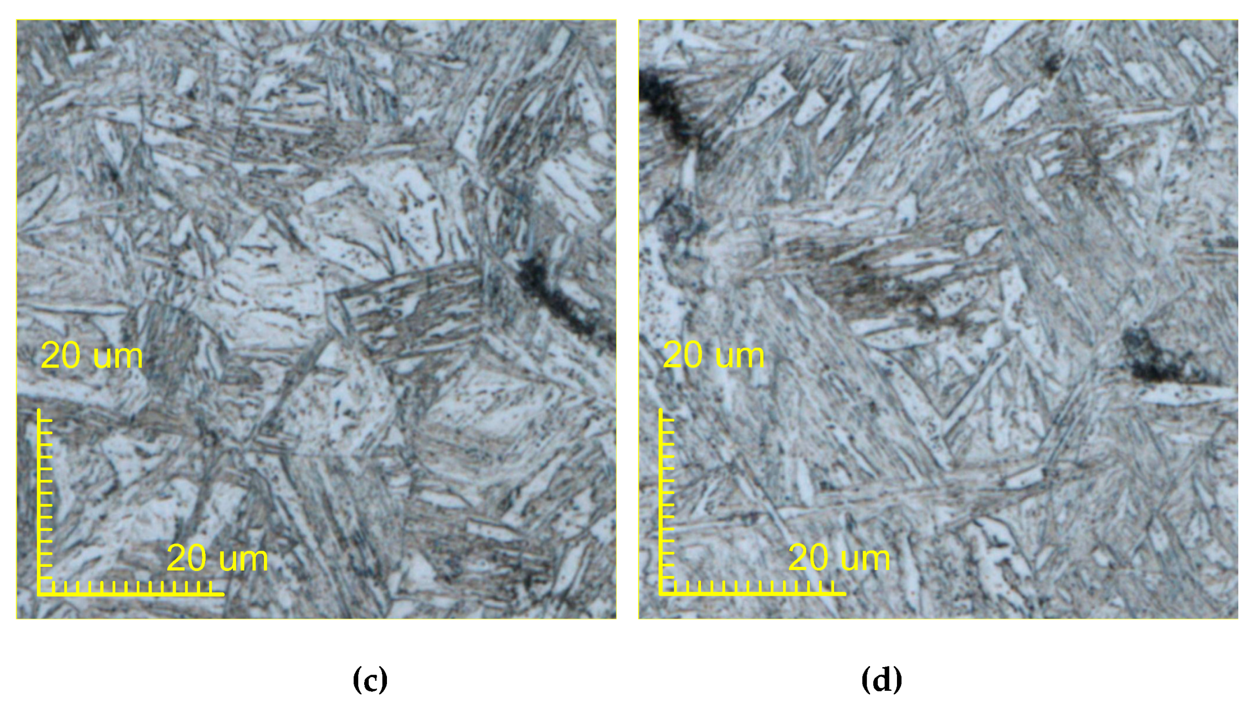 Materials 13 01069 g016b