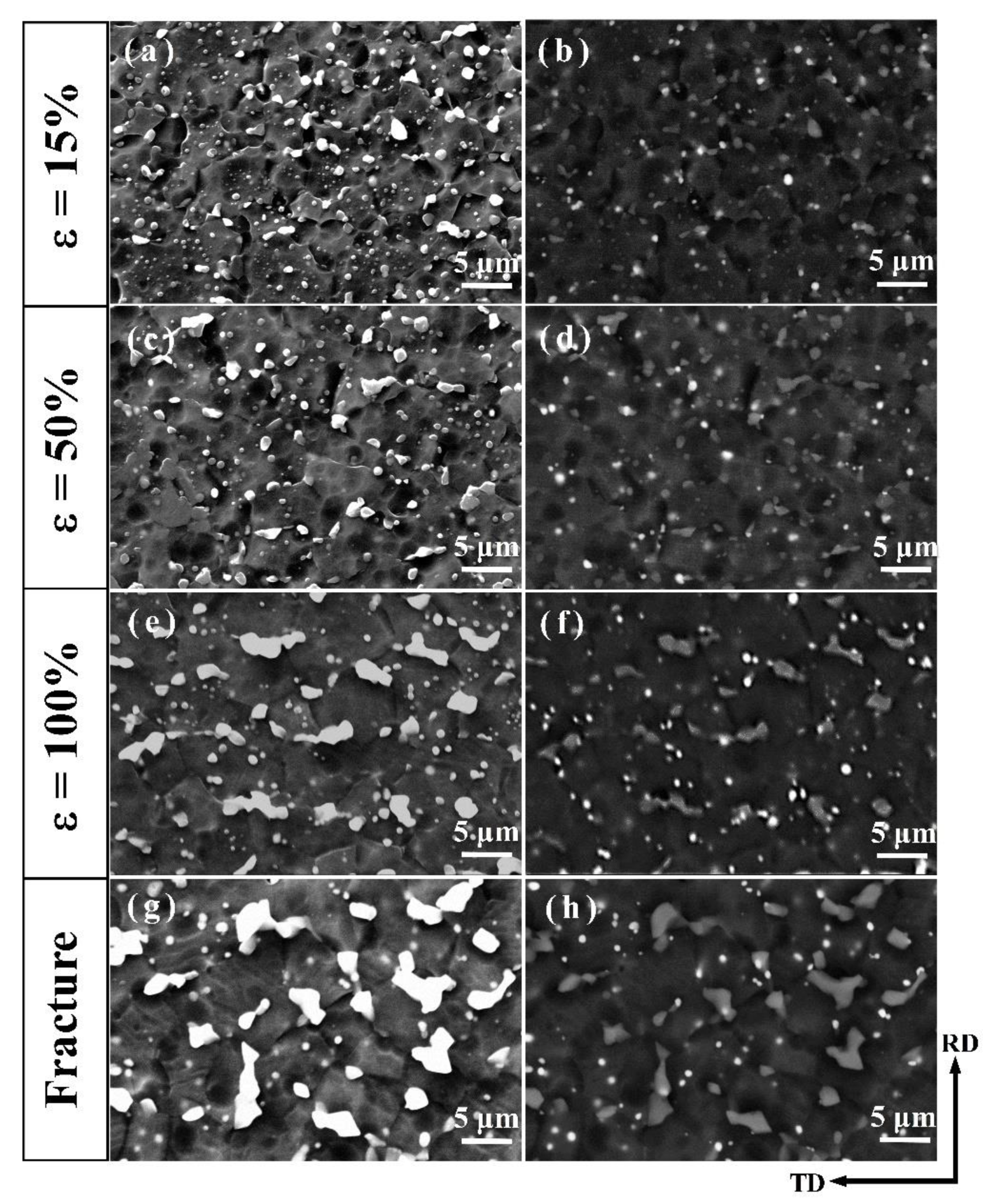 Materials 13 01074 g007 Materials 13 01074 g007
