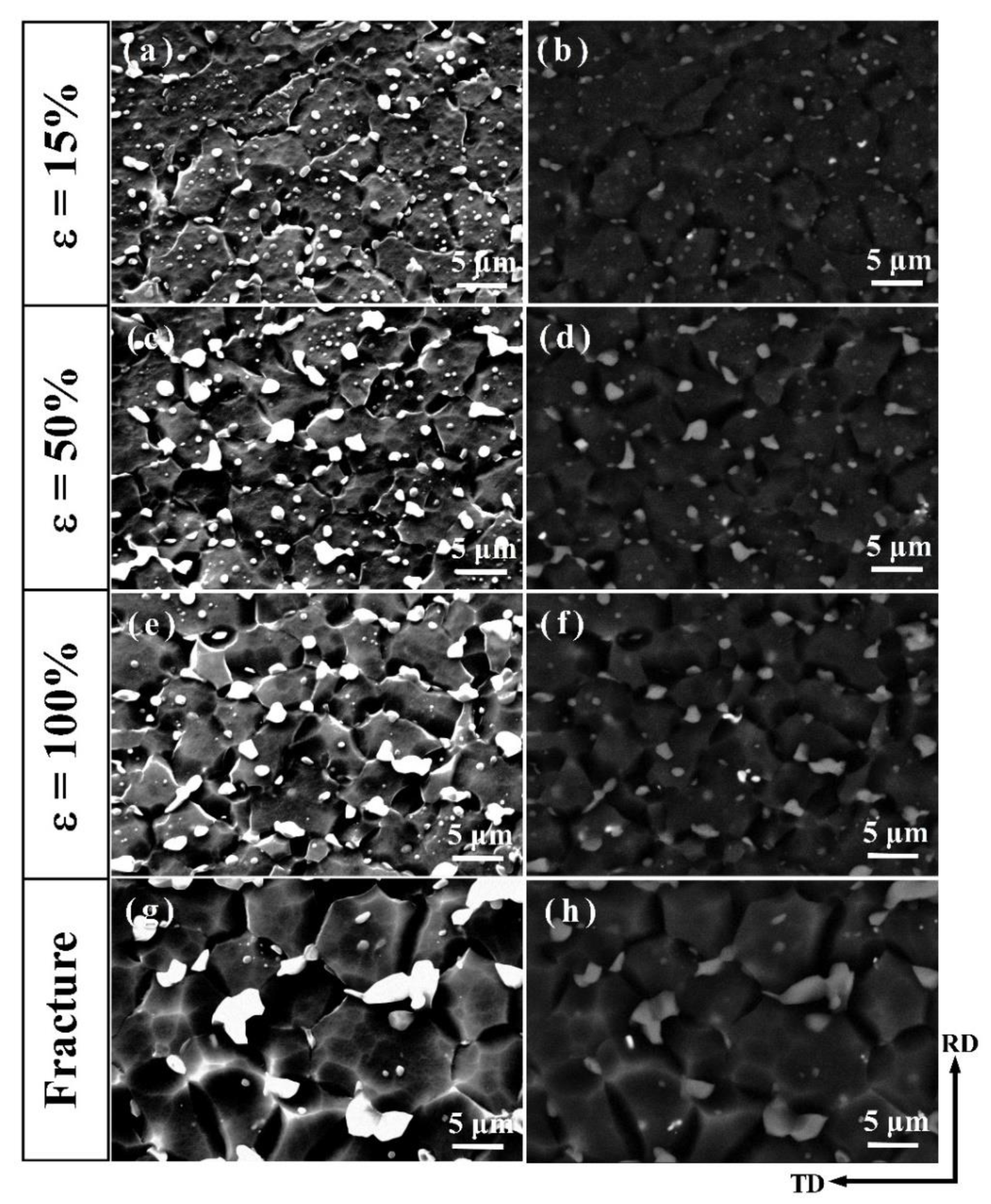 Materials 13 01074 g008 Materials 13 01074 g008