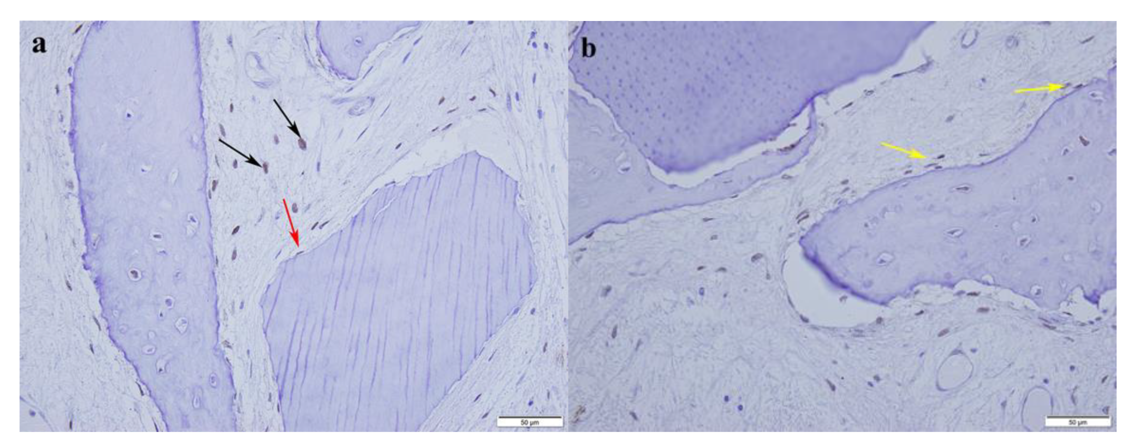 Materials 13 01083 g006