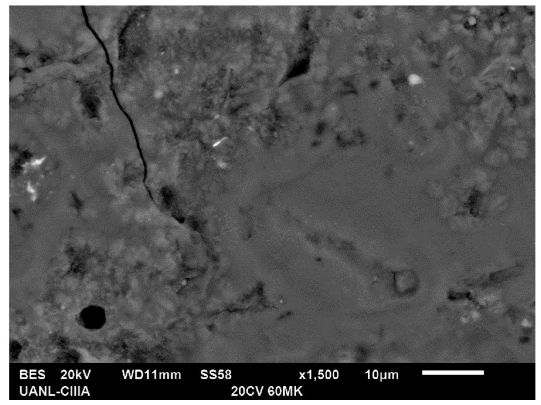 Materials 13 01084 g007