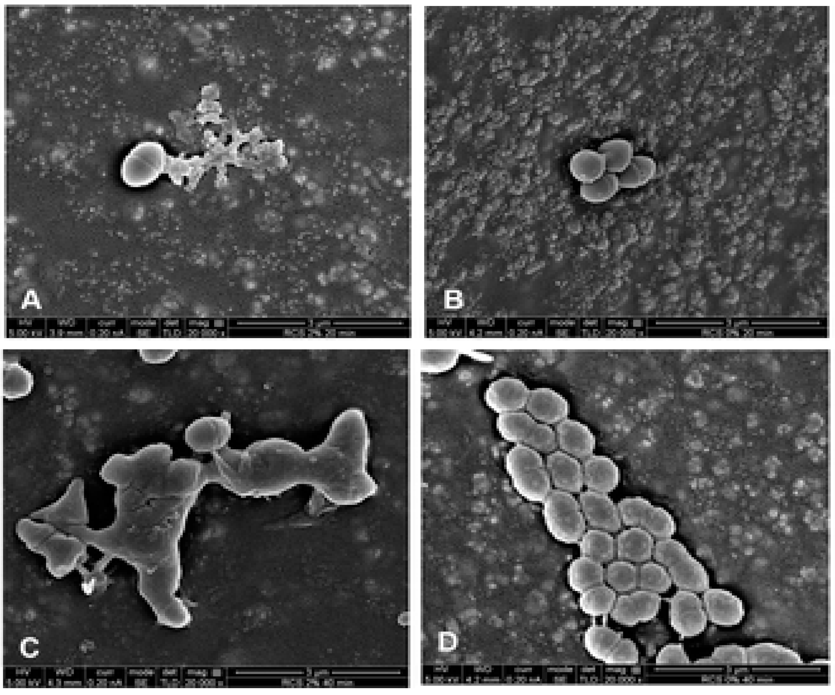 Materials 13 01096 g002