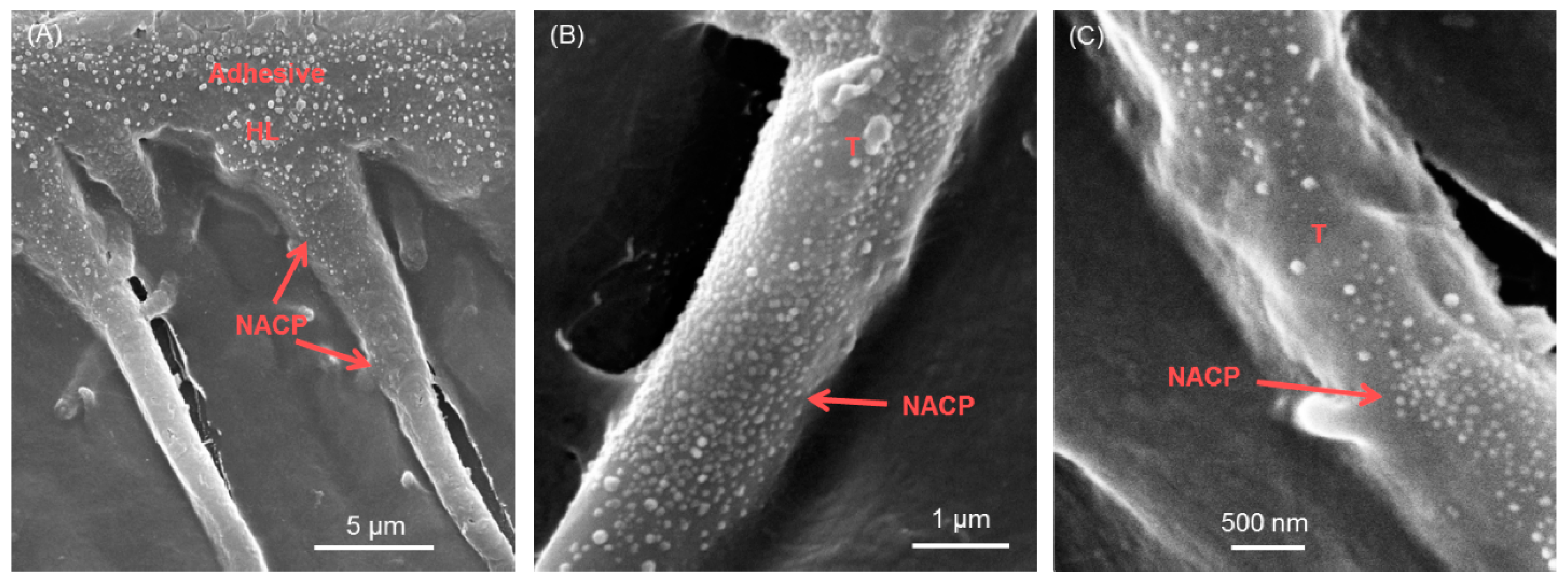 Materials 13 01096 g003