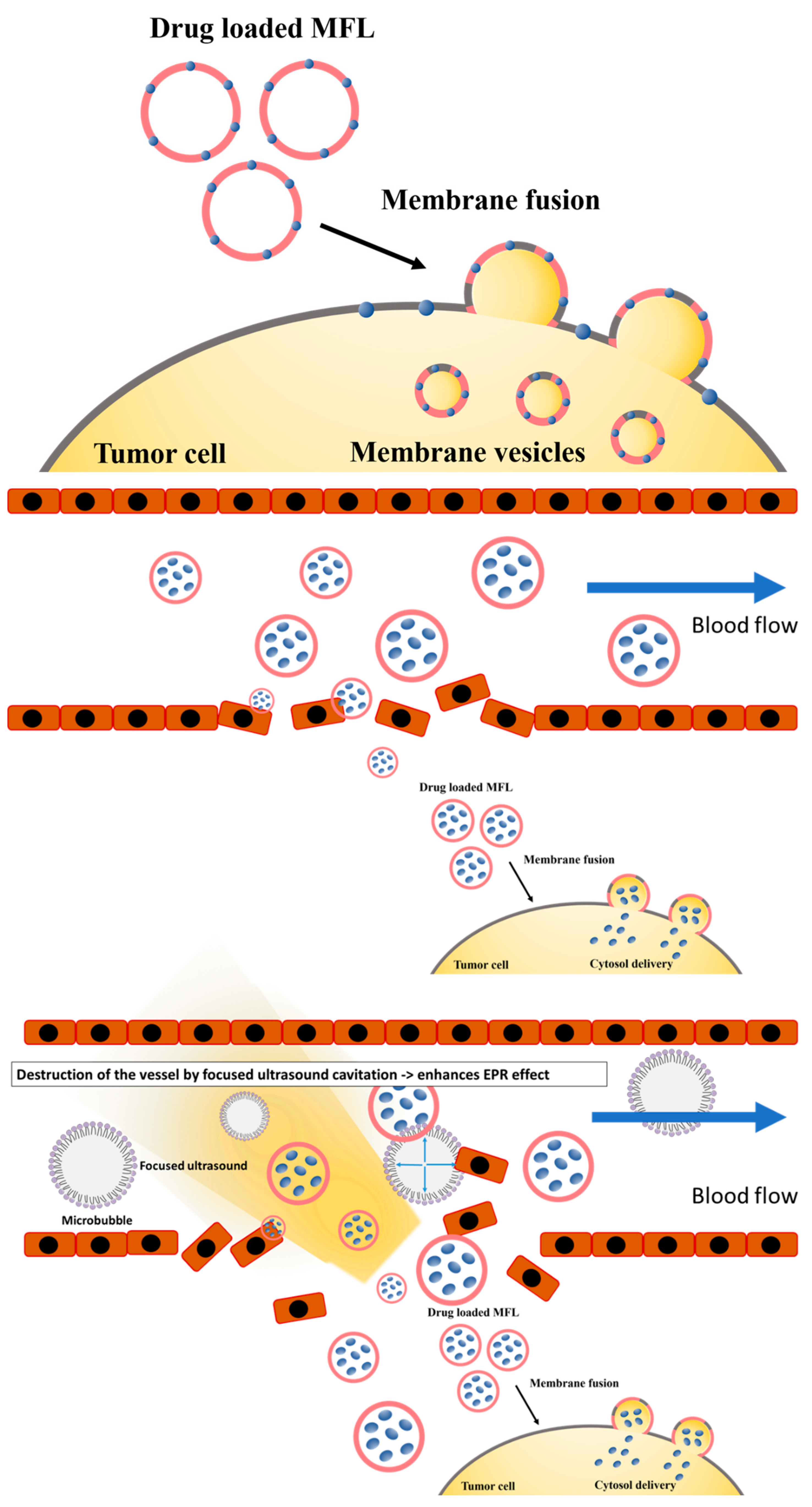Materials 13 01099 g001