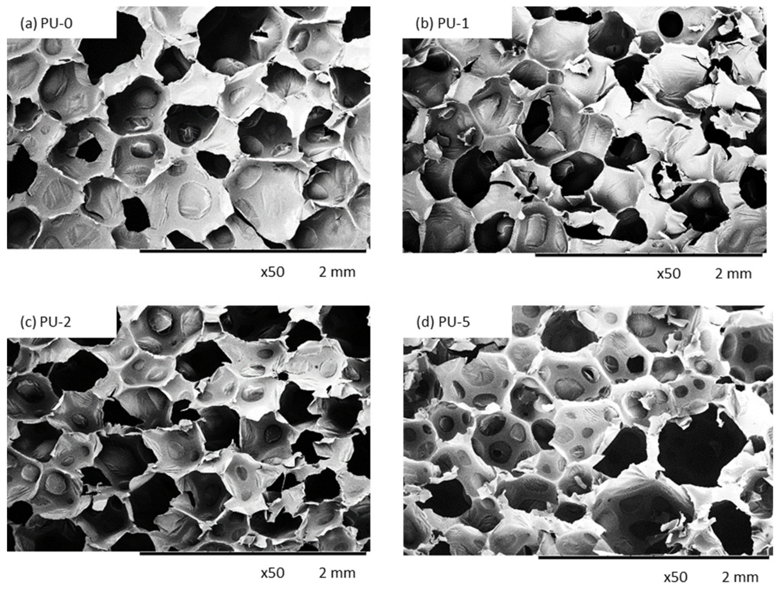Materials 13 01108 g006