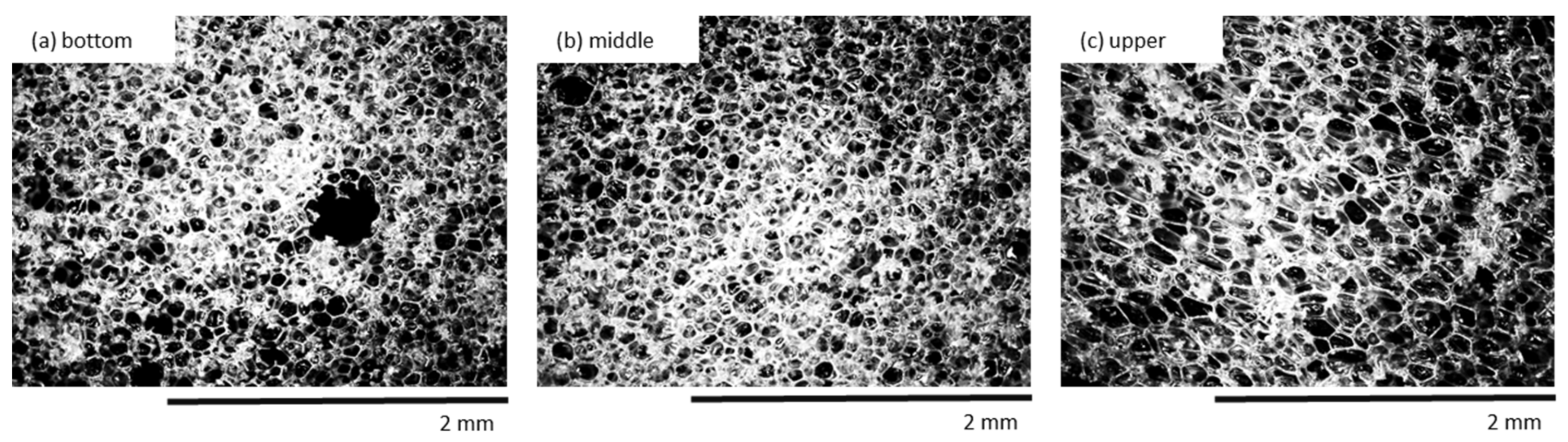 Materials 13 01108 g009