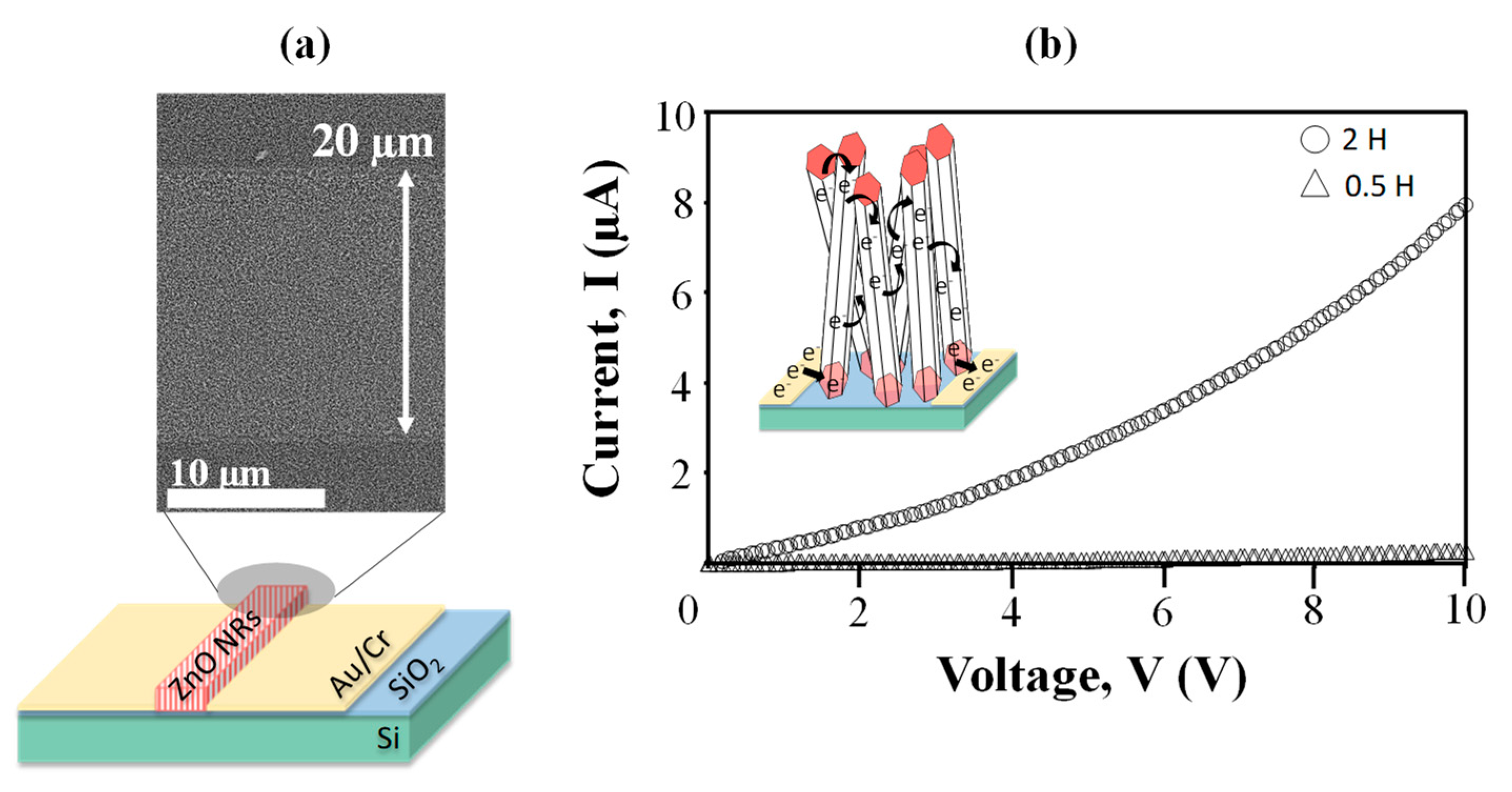 Materials 13 01136 g006 Materials 13 01136 g006
