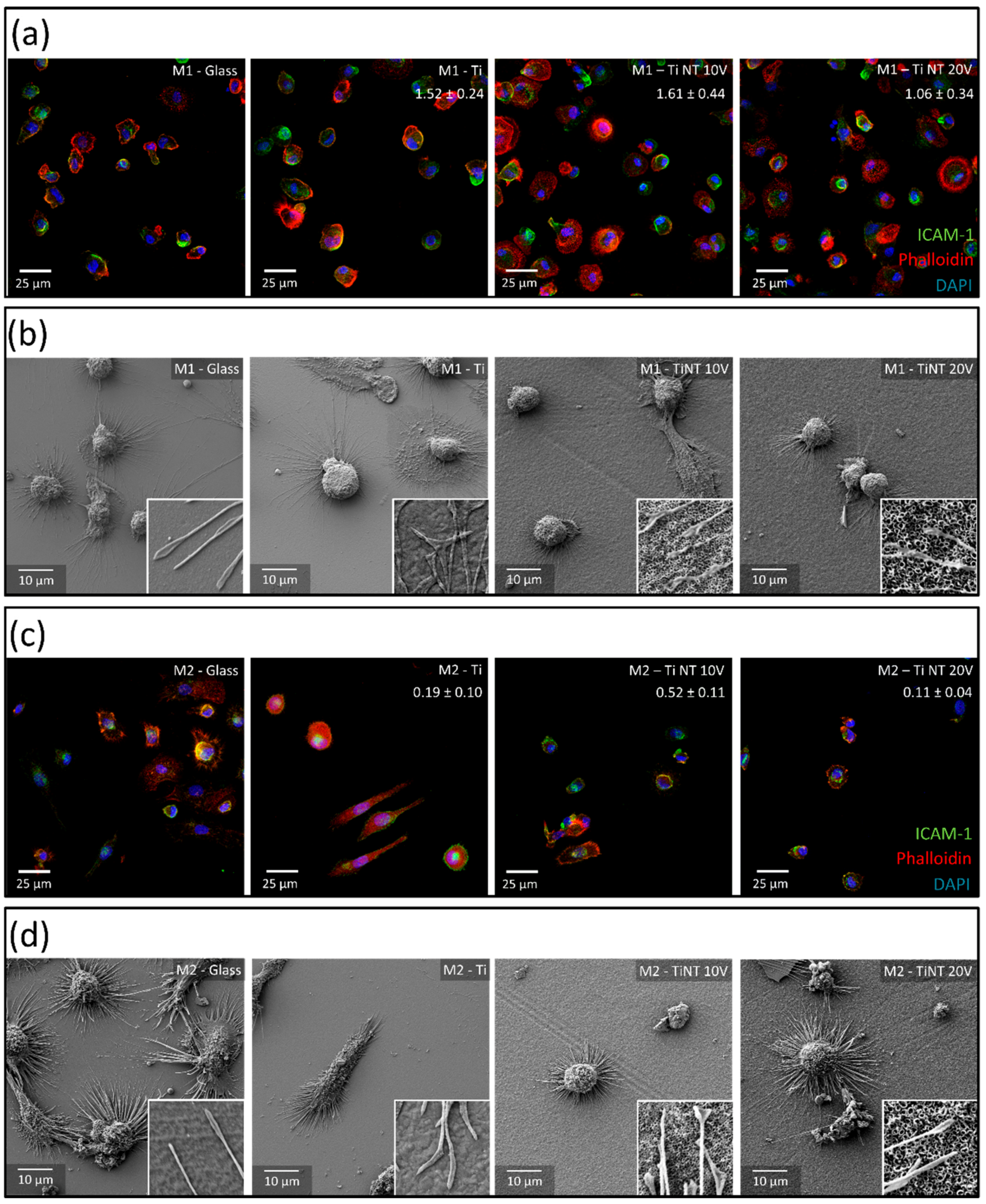 Materials 13 01142 g004