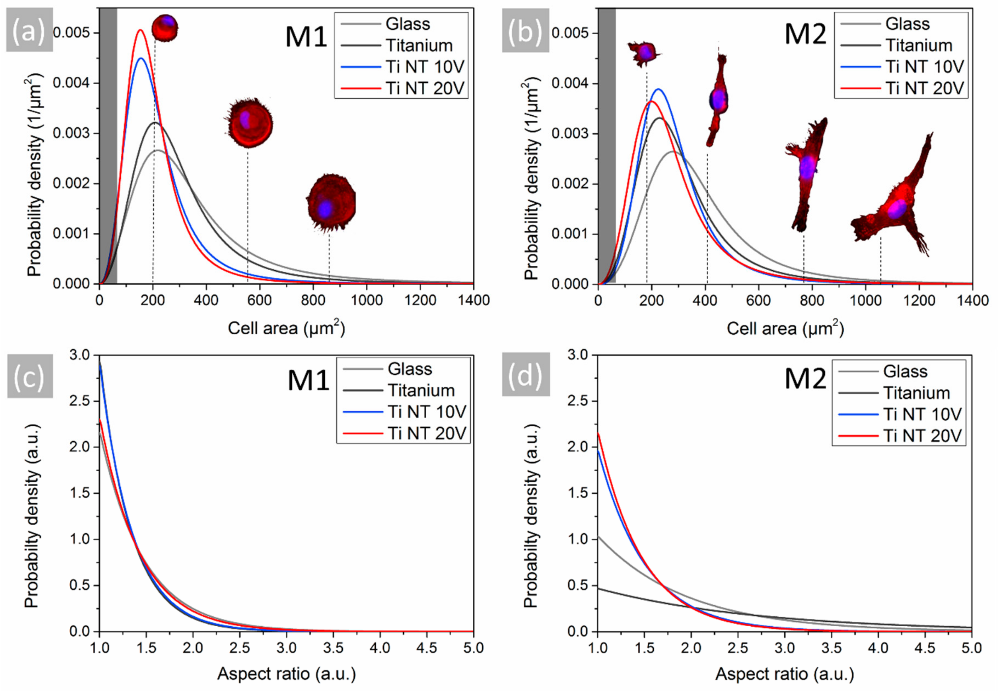 Materials 13 01142 g005