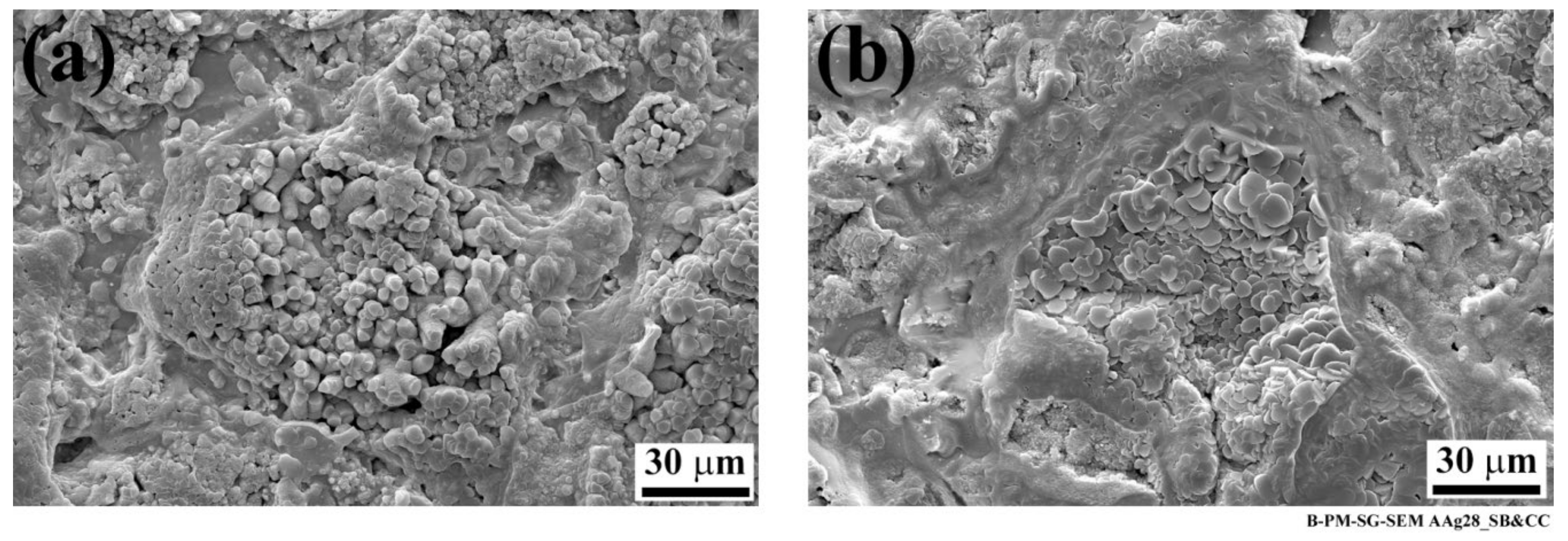 Materials 13 01144 g003