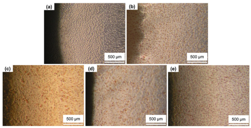 Materials 13 01145 g012