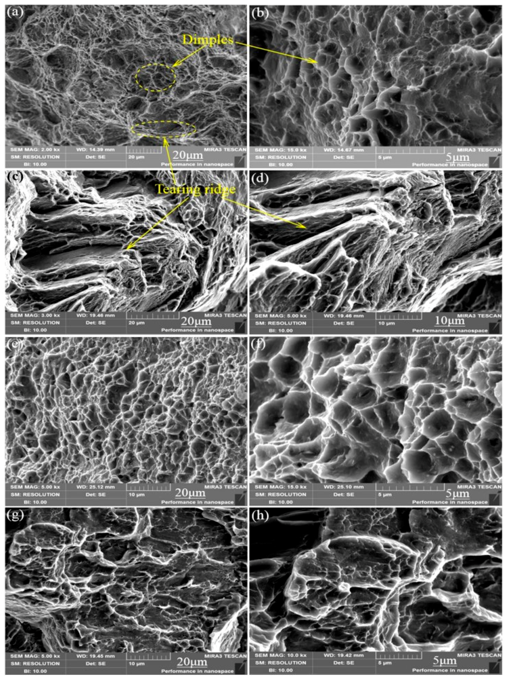 Materials 13 01147 g008