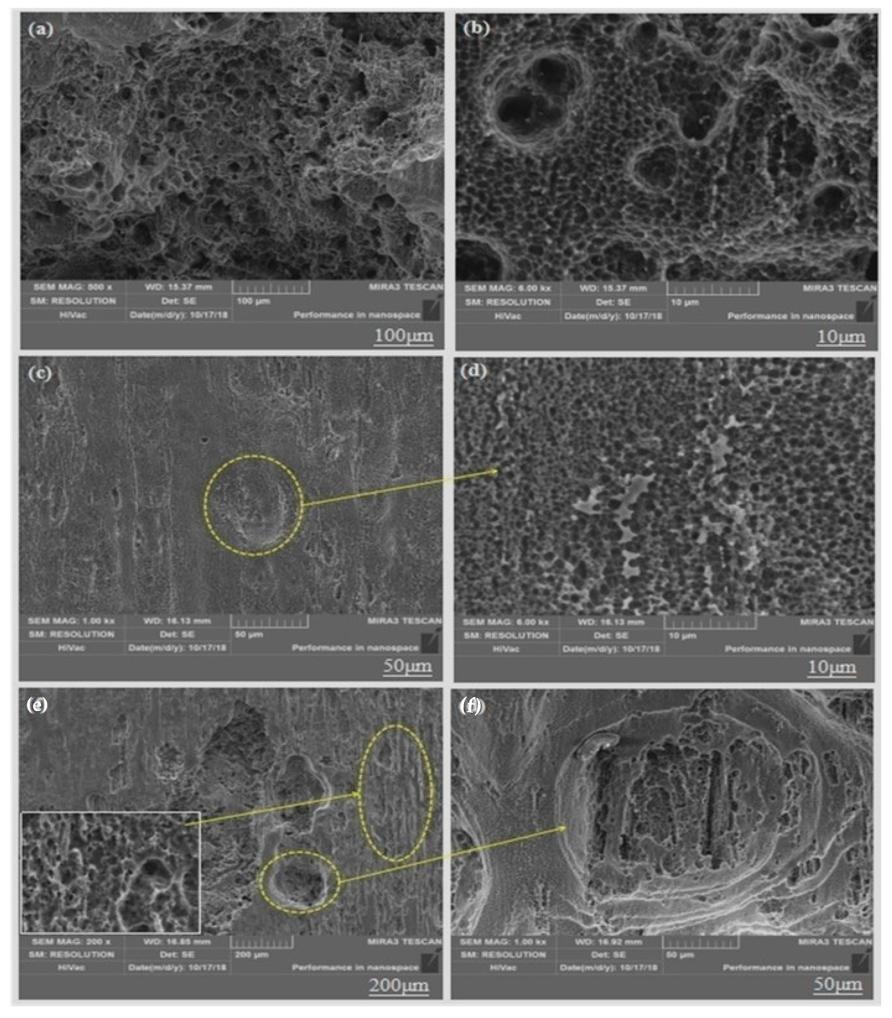 Materials 13 01147 g013