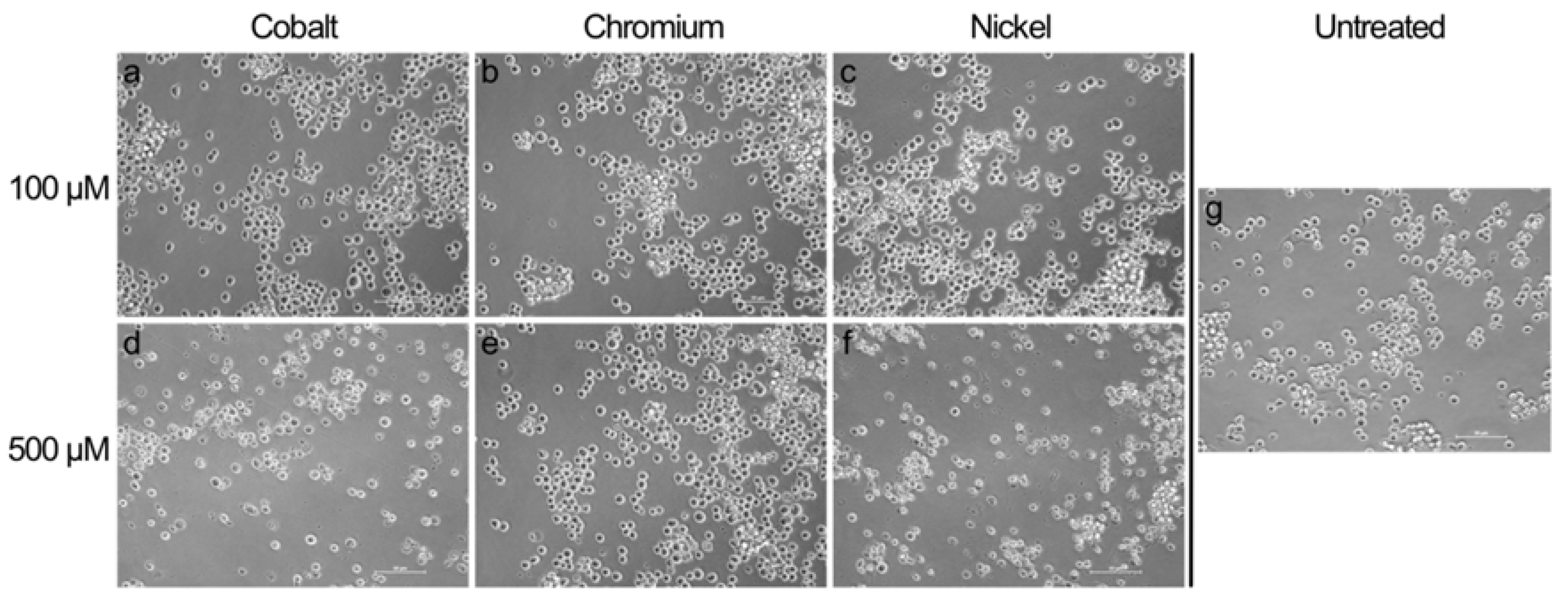 Materials 13 01150 g002 Materials 13 01150 g002