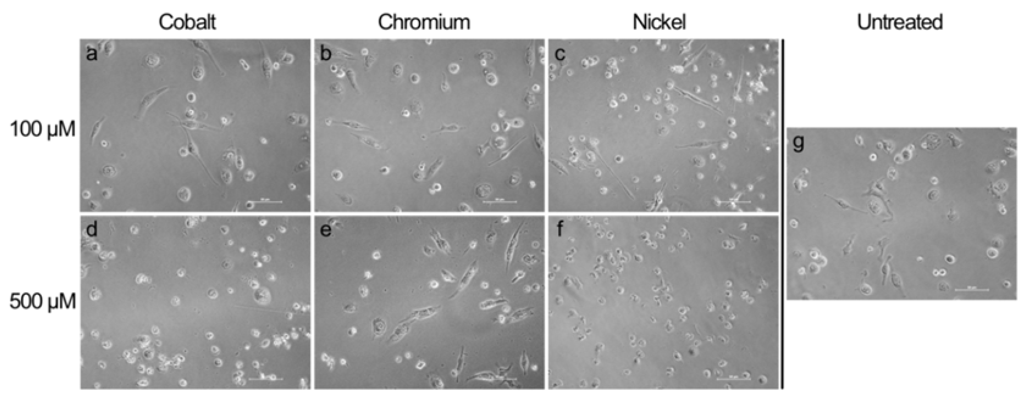 Materials 13 01150 g003 Materials 13 01150 g003