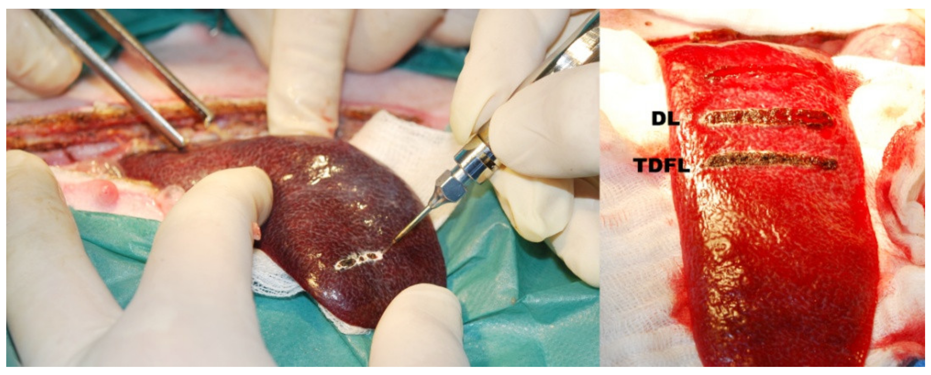 Materials 13 01167 g001