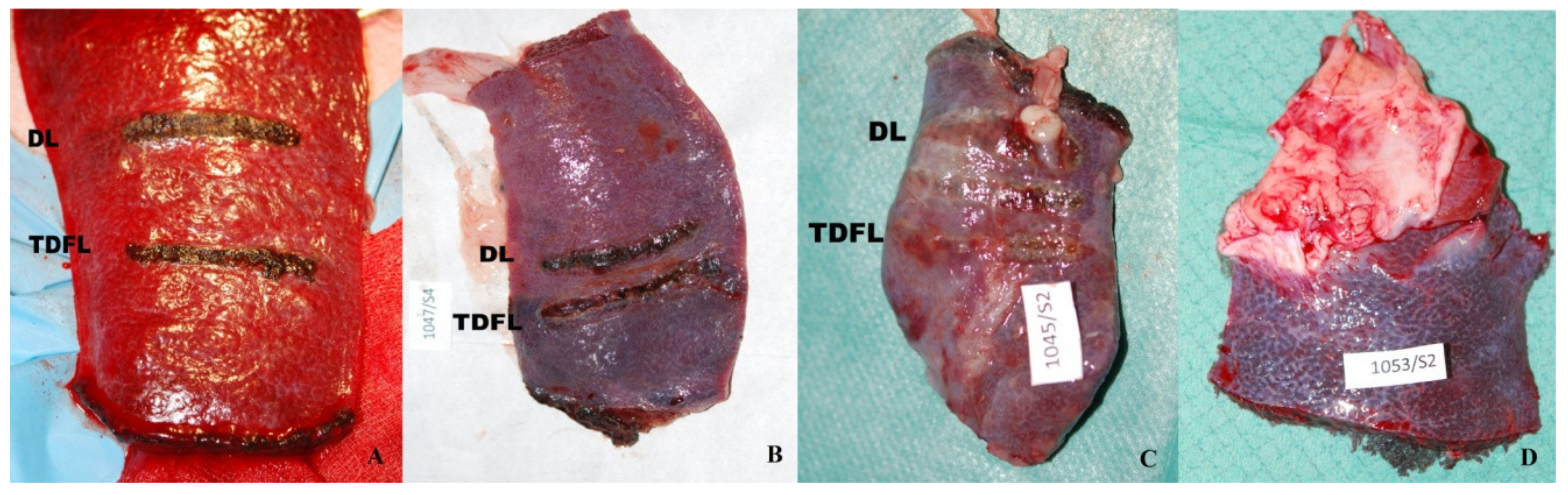 Materials 13 01167 g002