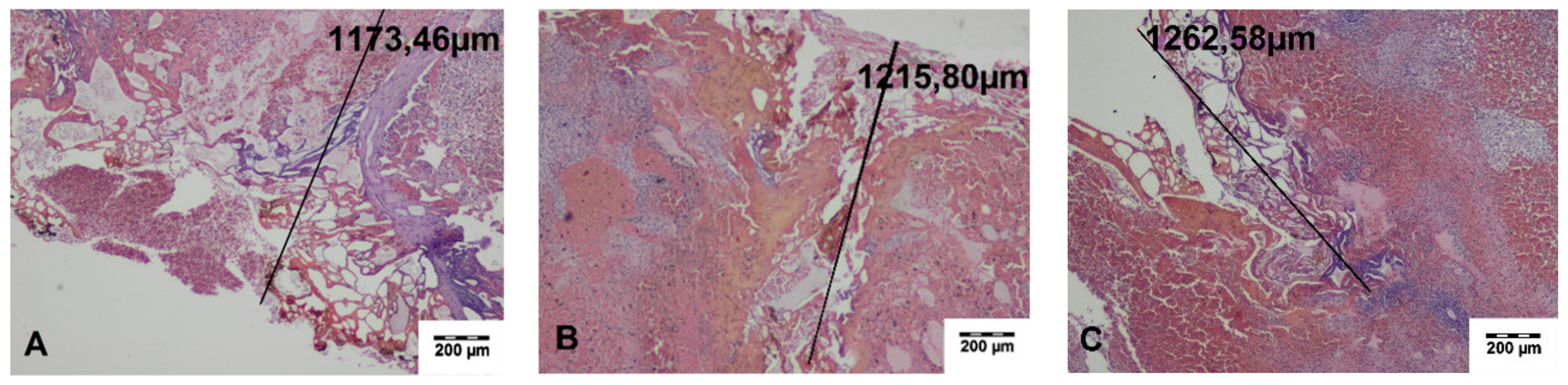 Materials 13 01167 g004