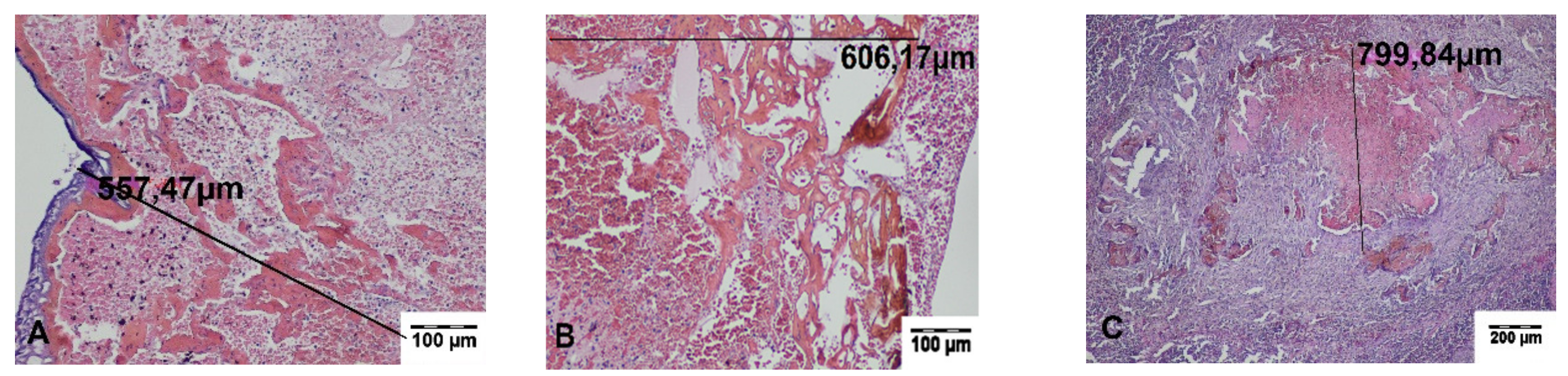 Materials 13 01167 g005