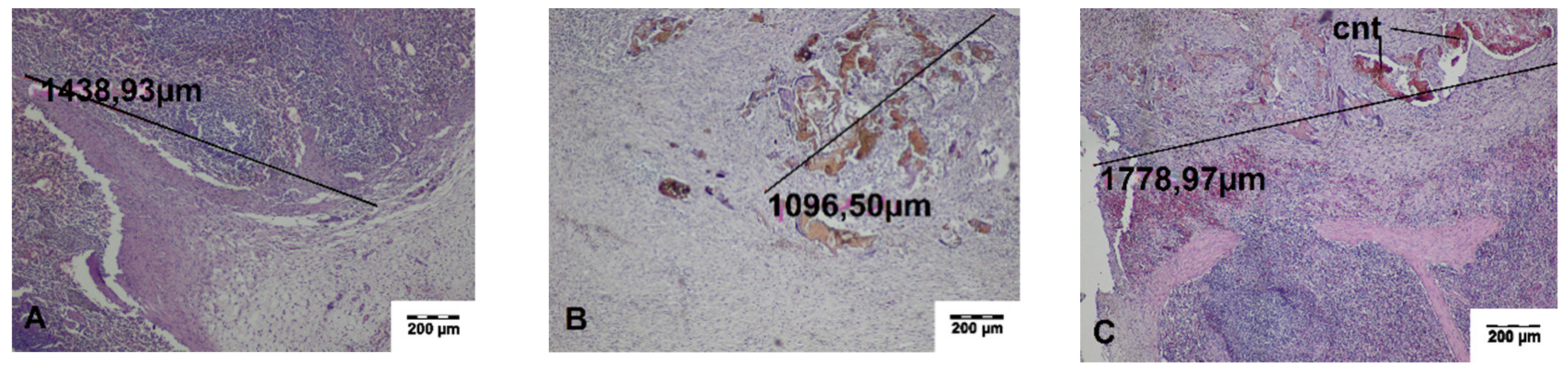 Materials 13 01167 g008