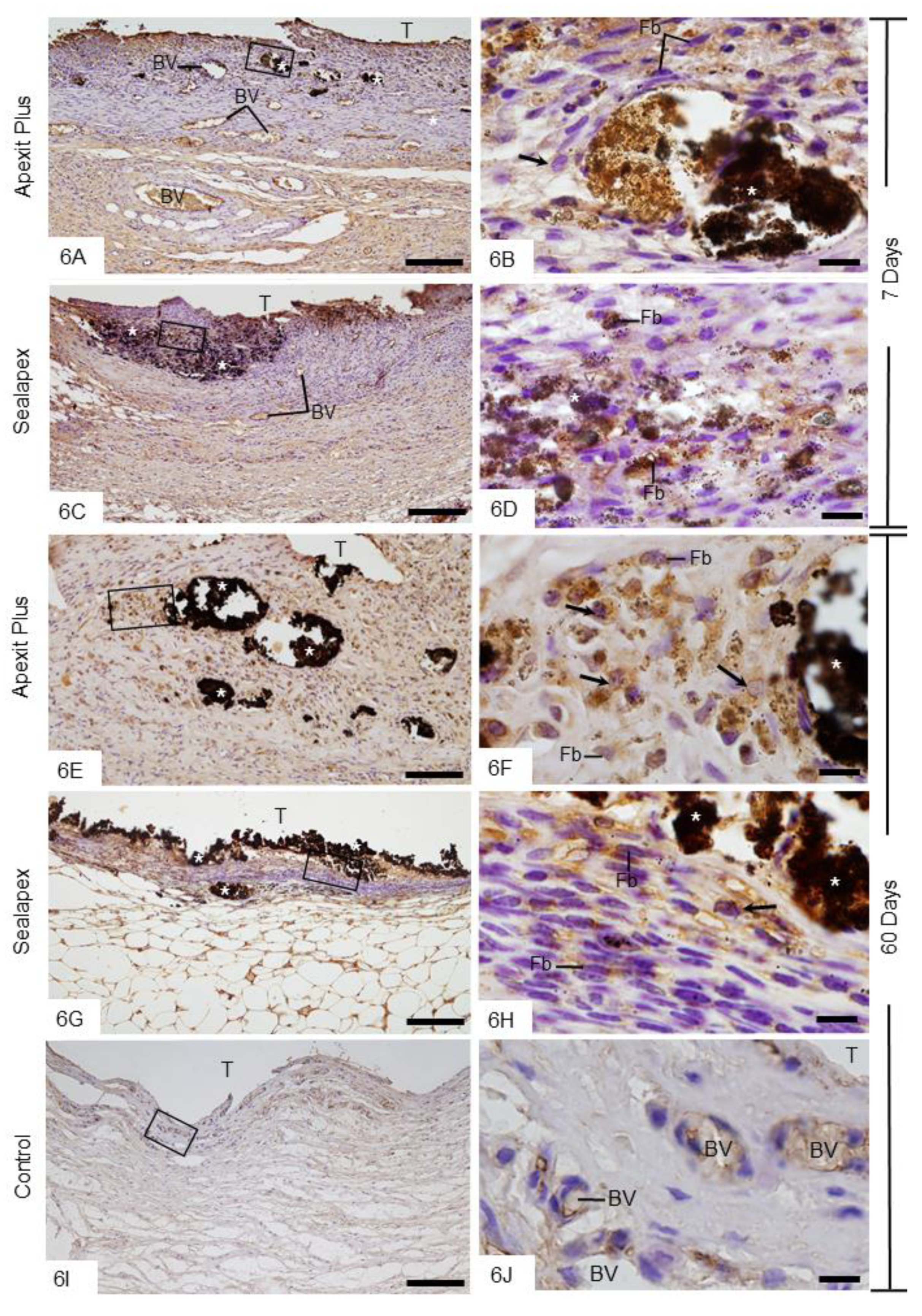 Materials 13 01171 g006
