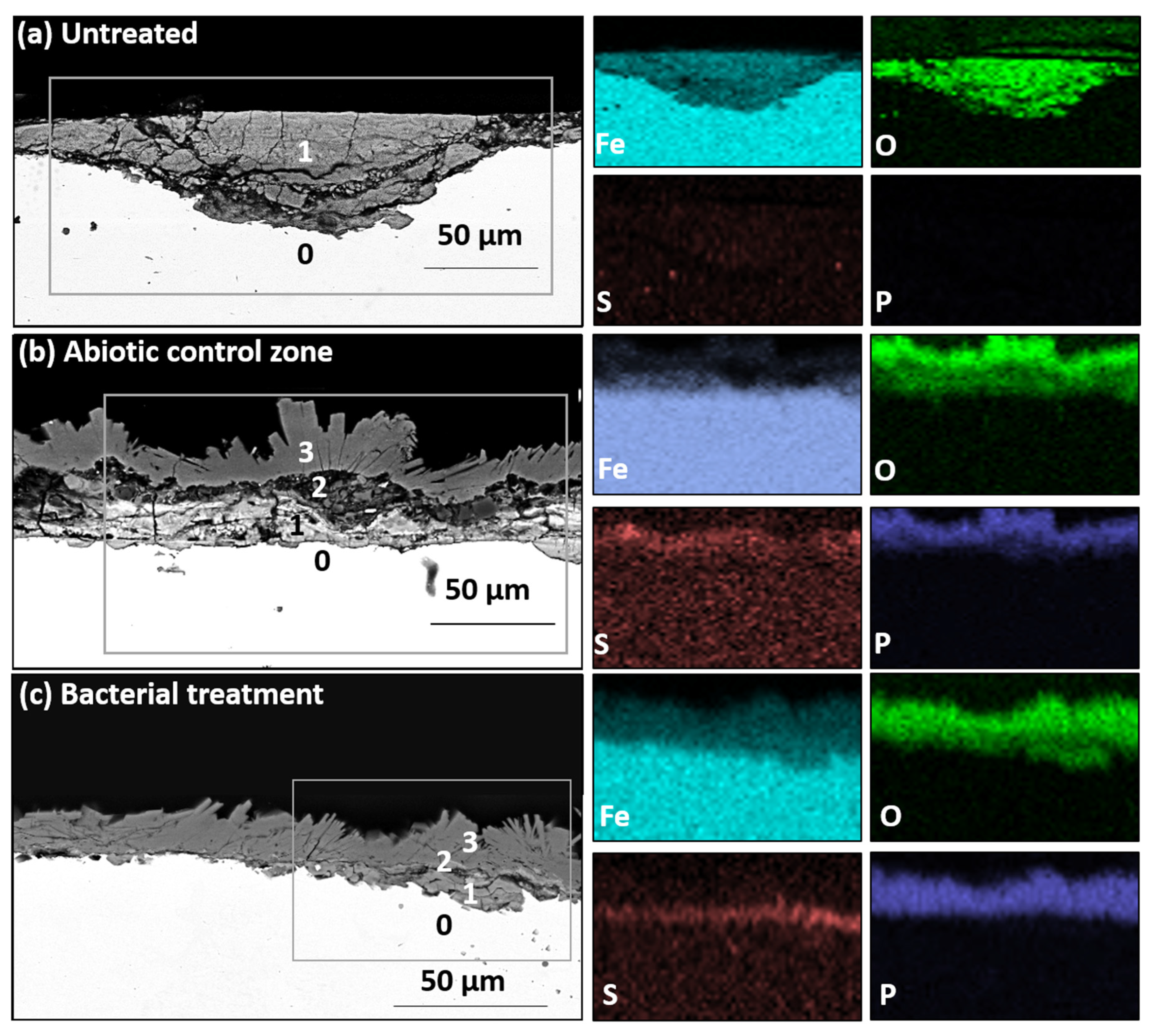 Materials 13 01176 g004
