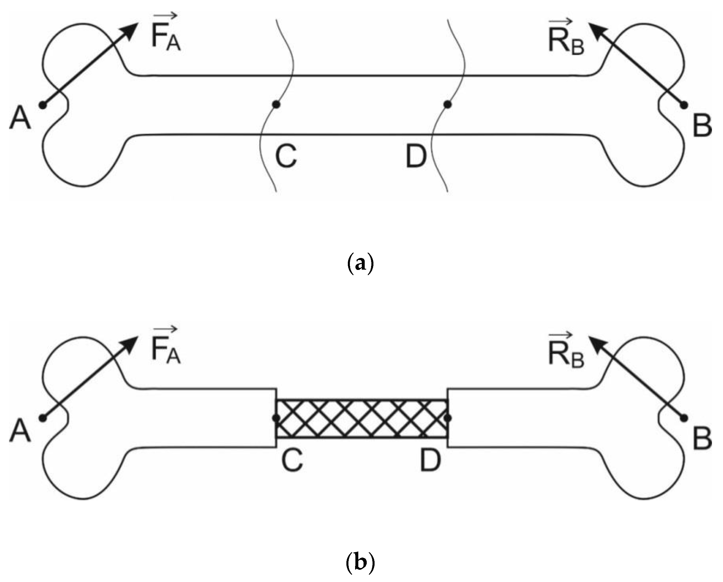 Materials 13 01185 g001