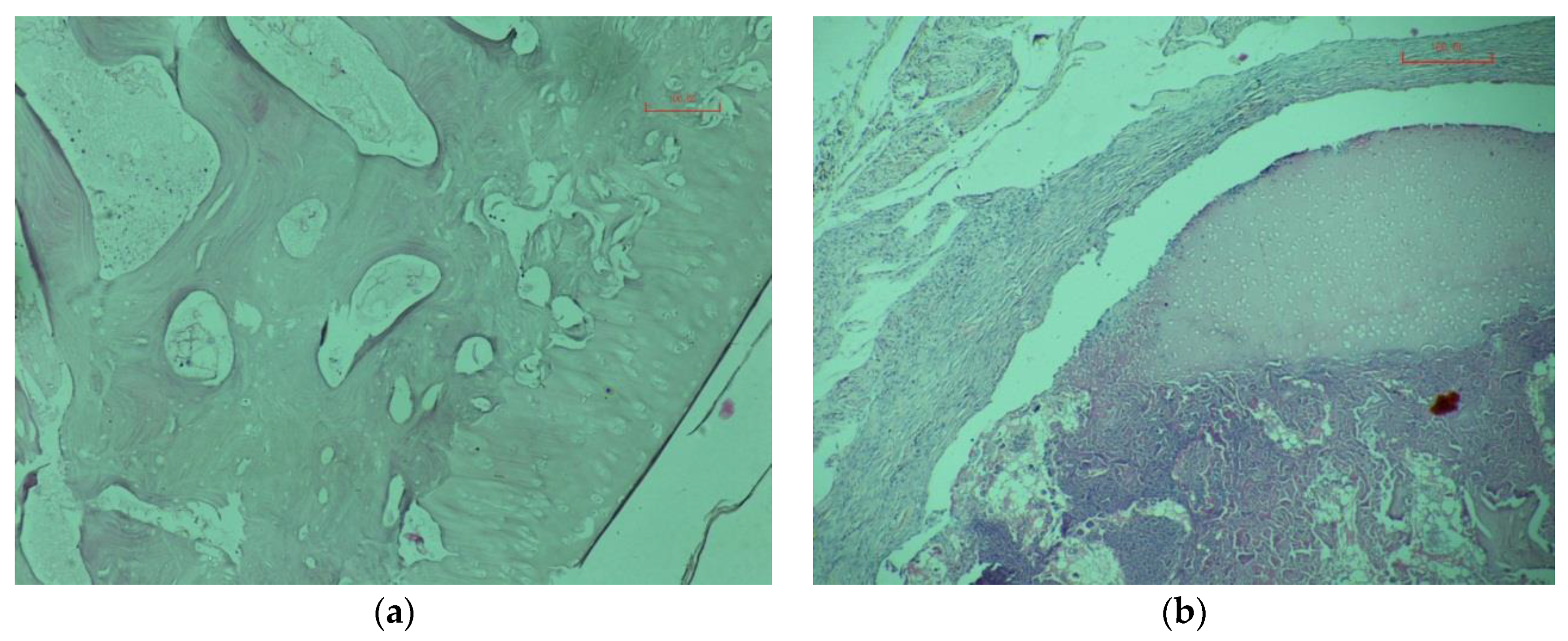 Materials 13 01185 g007