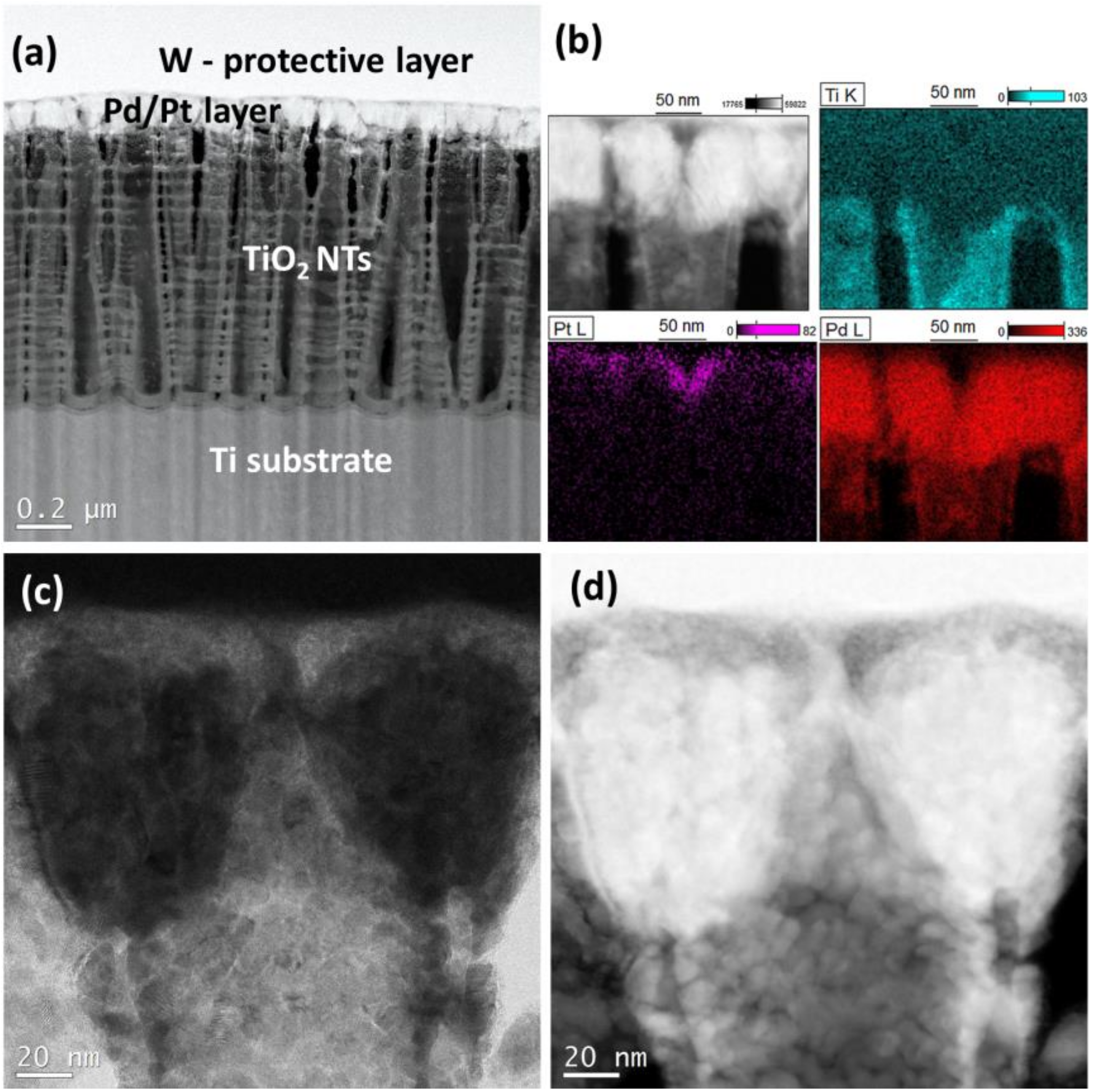 Materials 13 01195 g004